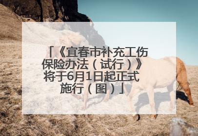 《宜春市补充工伤保险办法（试行）》将于6月1日起正式施行（图）