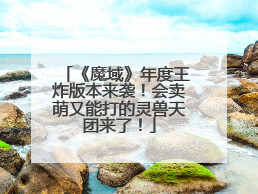 《魔域》年度王炸版本来袭！会卖萌又能打的灵兽天团来了！
