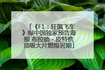 《F1：狂飙飞车》曝中国独家预告海报 布拉德・皮特携顶级大片燃爆暑期