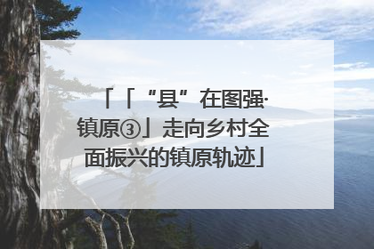 「“县”在图强·镇原③」走向乡村全面振兴的镇原轨迹