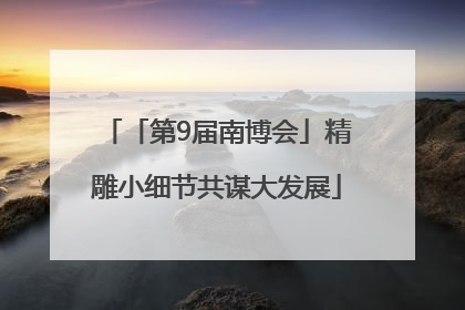 「第9届南博会」精雕小细节共谋大发展