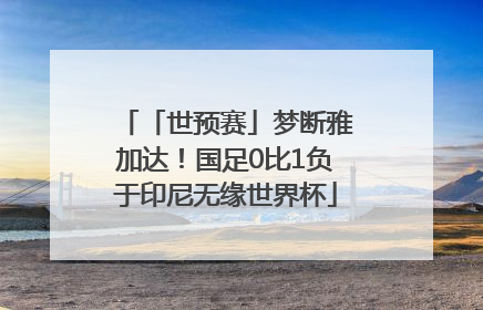 「世预赛」梦断雅加达！国足0比1负于印尼无缘世界杯