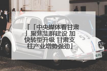 「中央媒体看甘肃」聚焦集群建设 加快转型升级 甘肃支柱产业增势强劲