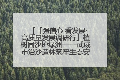「强信心 看发展·高质量发展调研行」植树固沙护绿洲——武威市治沙造林筑牢生态安全屏障见闻
