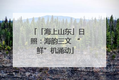 「海上山东」日照：海韵三文 “鲜”机涌动