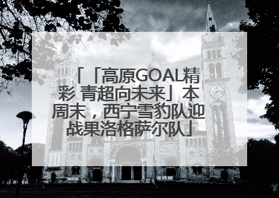 「高原GOAL精彩 青超向未来」本周末，西宁雪豹队迎战果洛格萨尔队