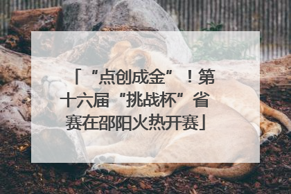 “点创成金”！第十六届“挑战杯”省赛在邵阳火热开赛
