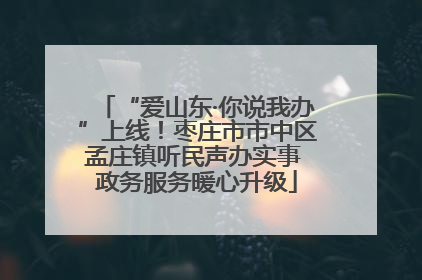 “爱山东·你说我办”上线！枣庄市市中区孟庄镇听民声办实事 政务服务暖心升级