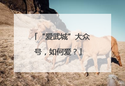 “爱武城”大众号，如何爱？