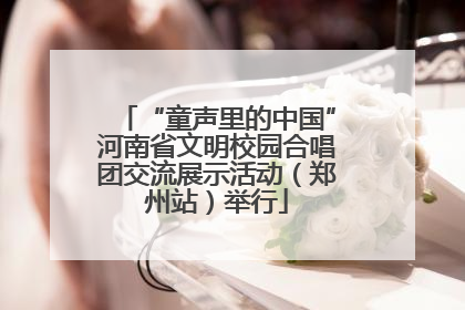 “童声里的中国”河南省文明校园合唱团交流展示活动（郑州站）举行
