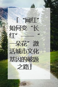 “网红”如何变“长红”——“一朵花”激活城市文化基因的破题之路