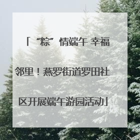“粽”情端午 幸福邻里！燕罗街道罗田社区开展端午游园活动
