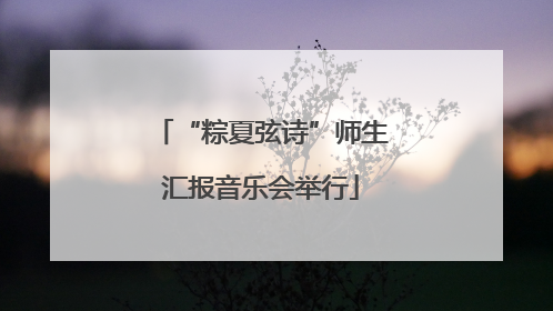“粽夏弦诗”师生汇报音乐会举行