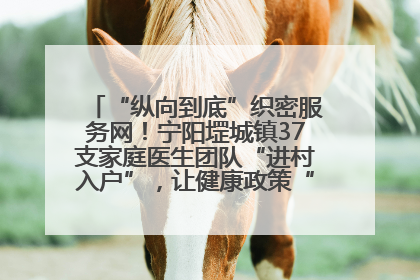 “纵向到底”织密服务网！宁阳堽城镇37支家庭医生团队“进村入户”，让健康政策“落地生根”