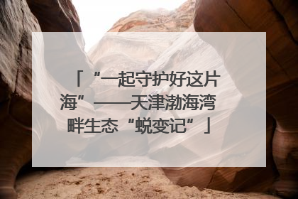 “一起守护好这片海”——天津渤海湾畔生态“蜕变记”