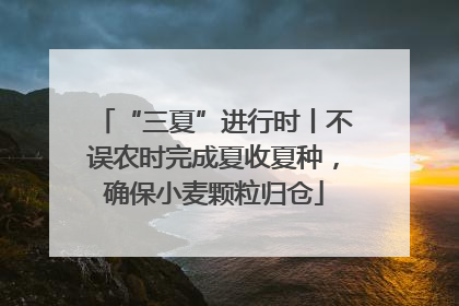 “三夏”进行时丨不误农时完成夏收夏种，确保小麦颗粒归仓