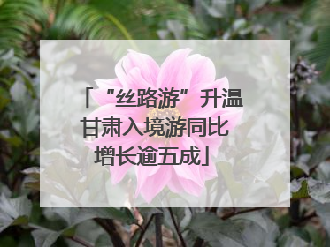 “丝路游”升温 甘肃入境游同比增长逾五成
