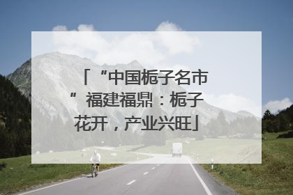 “中国栀子名市”福建福鼎：栀子花开，产业兴旺