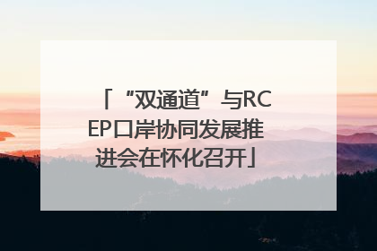 “双通道”与RCEP口岸协同发展推进会在怀化召开