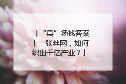 “县”场找答案丨一张丝网，如何织出千亿产业？