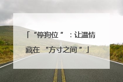 “停狗位 ”：让温情藏在 “方寸之间 ”