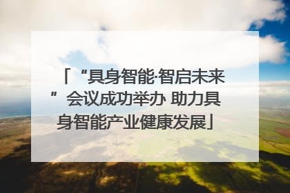 “具身智能·智启未来”会议成功举办 助力具身智能产业健康发展