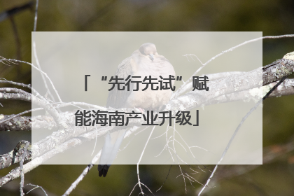 “先行先试”赋能海南产业升级