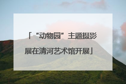 “动物园”主题摄影展在清河艺术馆开展