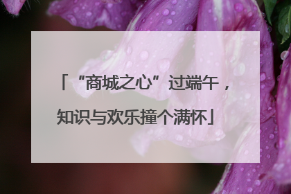 “商城之心”过端午，知识与欢乐撞个满怀