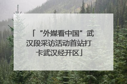 “外媒看中国”武汉段采访活动首站打卡武汉经开区