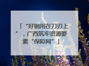 “好钢用在刀刃上”，广西筑牢资源要素“保障网”