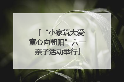 “小家筑大爱·童心向朝阳”六一亲子活动举行