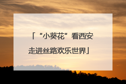 “小葵花”看西安走进丝路欢乐世界