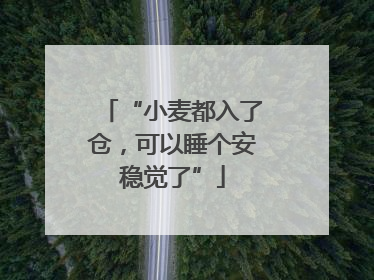 “小麦都入了仓，可以睡个安稳觉了”