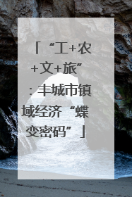 “工+农+文+旅”：丰城市镇域经济“蝶变密码”