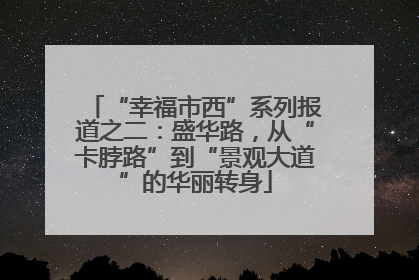 “幸福市西”系列报道之二：盛华路，从“卡脖路”到“景观大道”的华丽转身