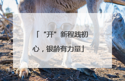 “开”新程践初心，银龄有力量