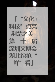 “文化+科技”点亮荆楚之美 第二十一届深圳文博会湖北馆抢“鲜”看