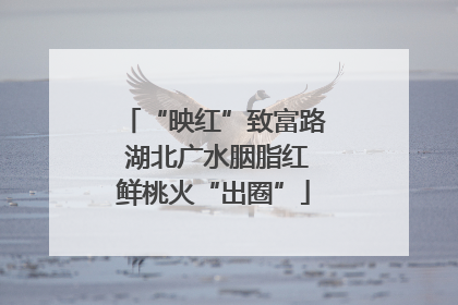 “映红”致富路 湖北广水胭脂红鲜桃火“出圈”