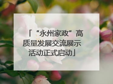 “永州家政”高质量发展交流展示活动正式启动