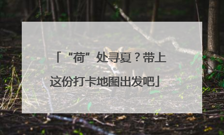 “荷”处寻夏？带上这份打卡地图出发吧