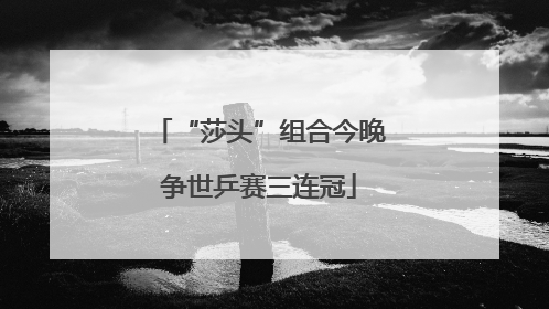 “莎头”组合今晚争世乒赛三连冠