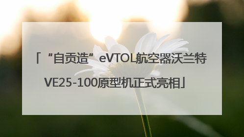 “自贡造”eVTOL航空器沃兰特VE25-100原型机正式亮相