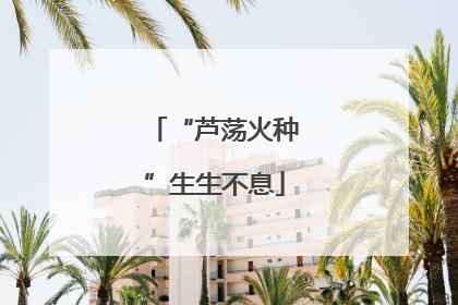“芦荡火种”生生不息