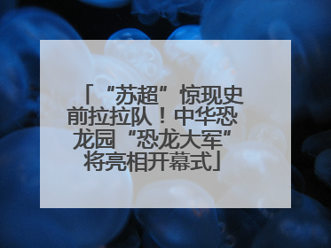 “苏超”惊现史前拉拉队！中华恐龙园“恐龙大军”将亮相开幕式