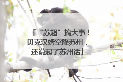 “苏超”搞大事！贝克汉姆空降苏州，还说起了苏州话