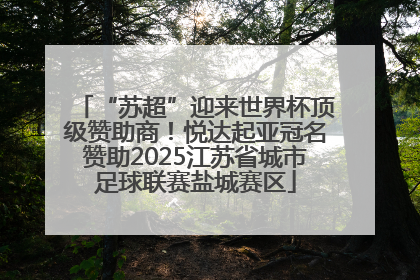 “苏超”迎来世界杯顶级赞助商！悦达起亚冠名赞助2025江苏省城市足球联赛盐城赛区