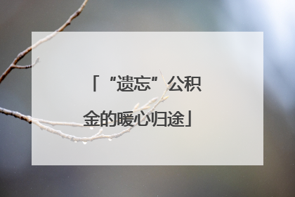 “遗忘”公积金的暖心归途