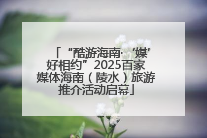 “酷游海南·‘媒’好相约”2025百家媒体海南（陵水）旅游推介活动启幕