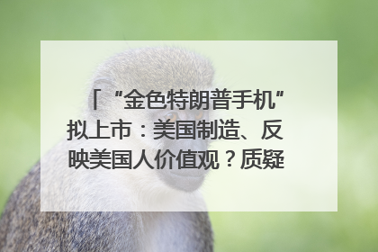 “金色特朗普手机”拟上市：美国制造、反映美国人价值观？质疑者：像天方夜谭